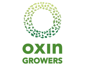 oxin komkommerbedrijf willems in ewijk